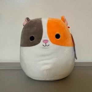 Squishmallows Everett the Guinea Pig Plush